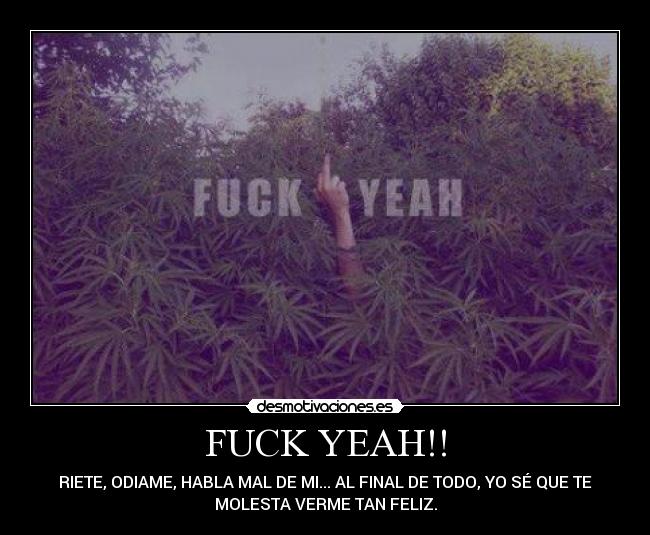 FUCK YEAH!! - RIETE, ODIAME, HABLA MAL DE MI... AL FINAL DE TODO, YO SÉ QUE TE
MOLESTA VERME TAN FELIZ.