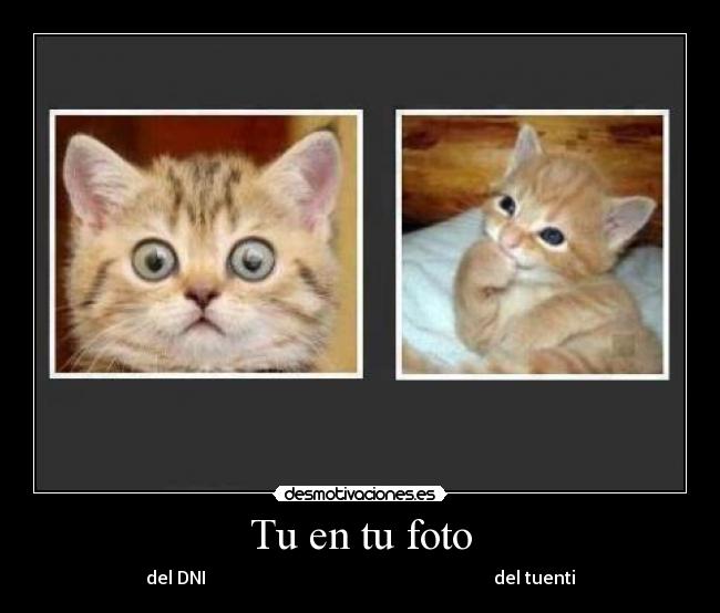Tu en tu foto - del DNI                                                                 del tuenti