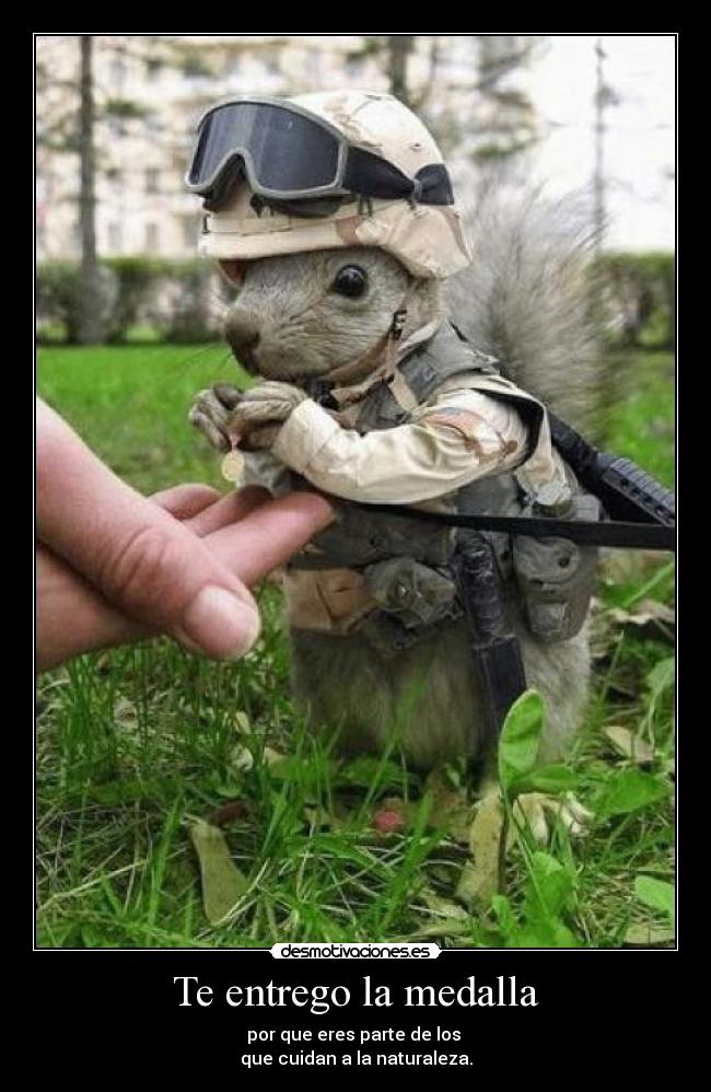 Te entrego la medalla -