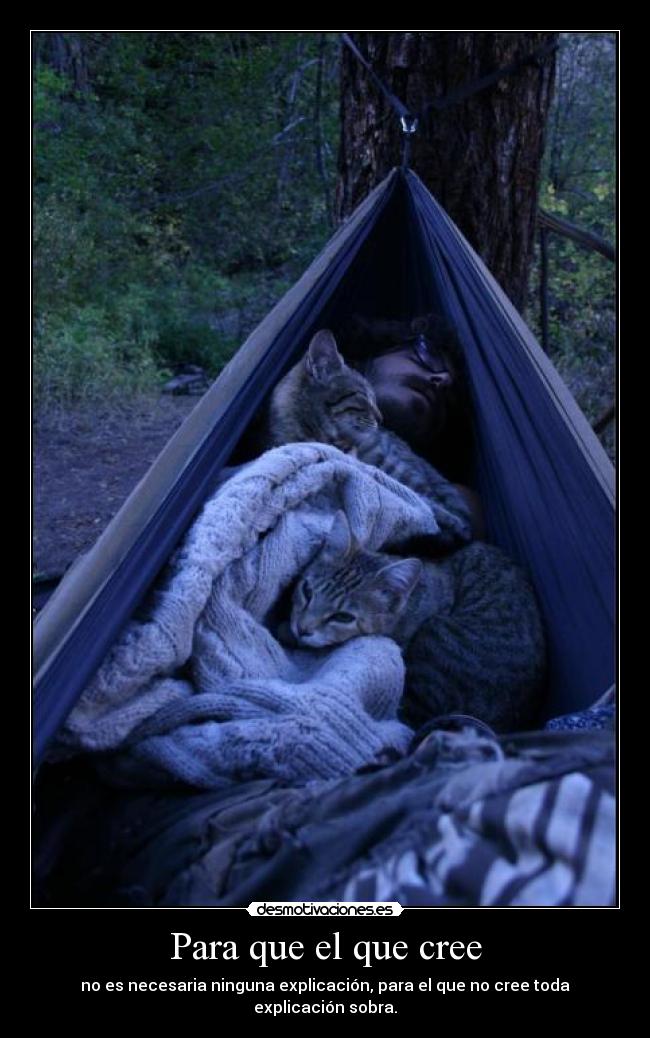 carteles clan catkillers desmotivaciones