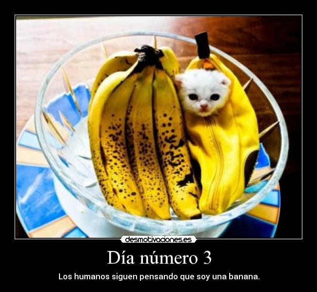 Día número 3 - Los humanos siguen pensando que soy una banana.