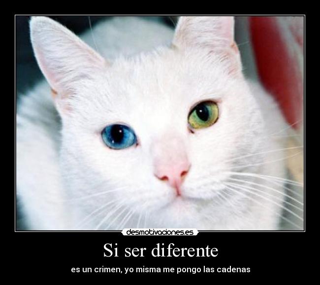 Si ser diferente -