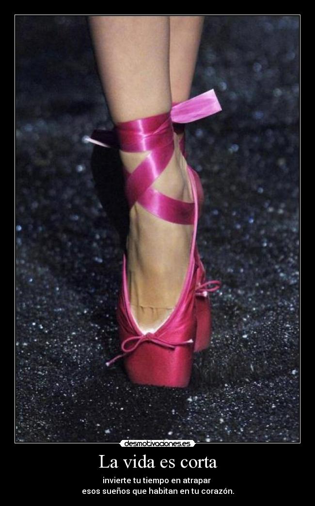 La vida es corta -