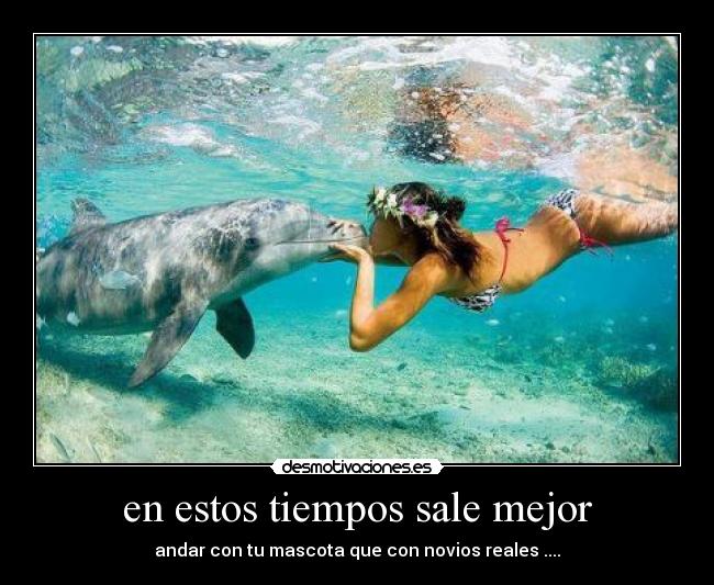 en estos tiempos sale mejor - andar con tu mascota que con novios reales ....