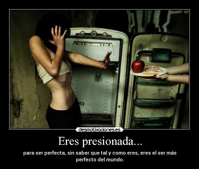 carteles livethemusic perfeccion etiquetas desmotivaciones