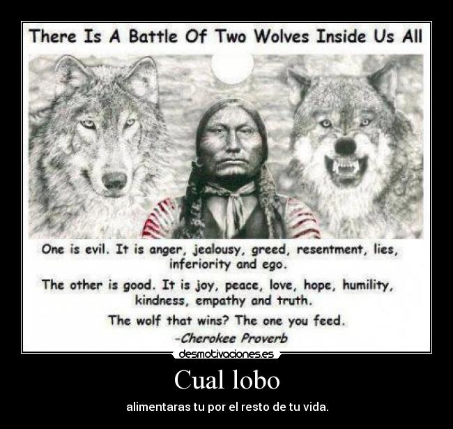 carteles lobo cherokee proverb proverbio alimentar desmotivaciones
