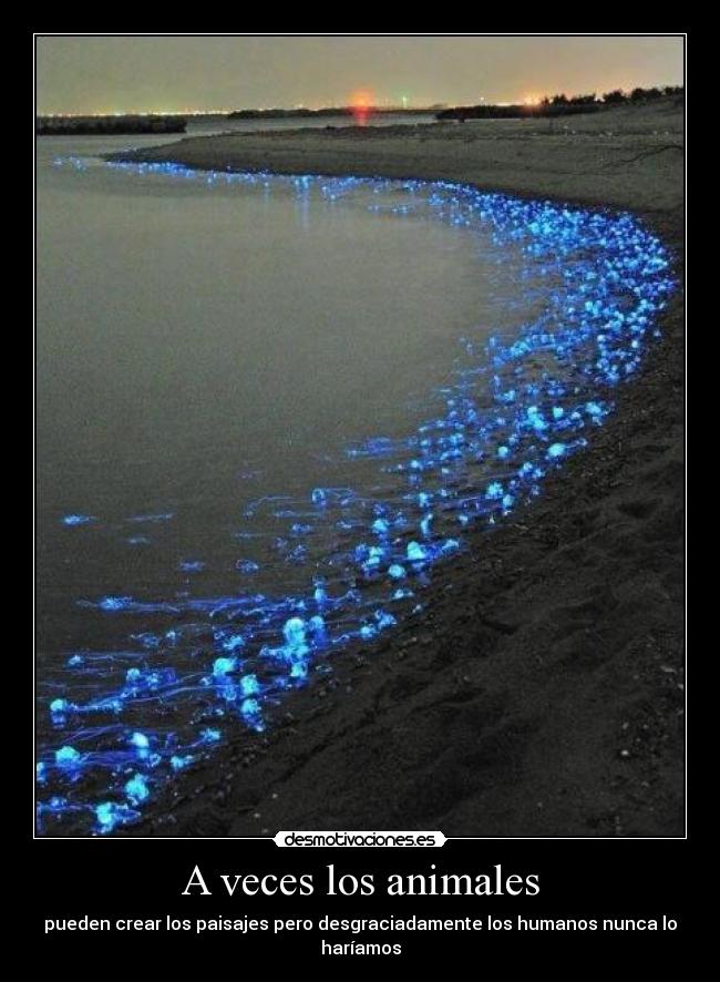 A veces los animales - pueden crear los paisajes pero desgraciadamente los humanos nunca lo haríamos