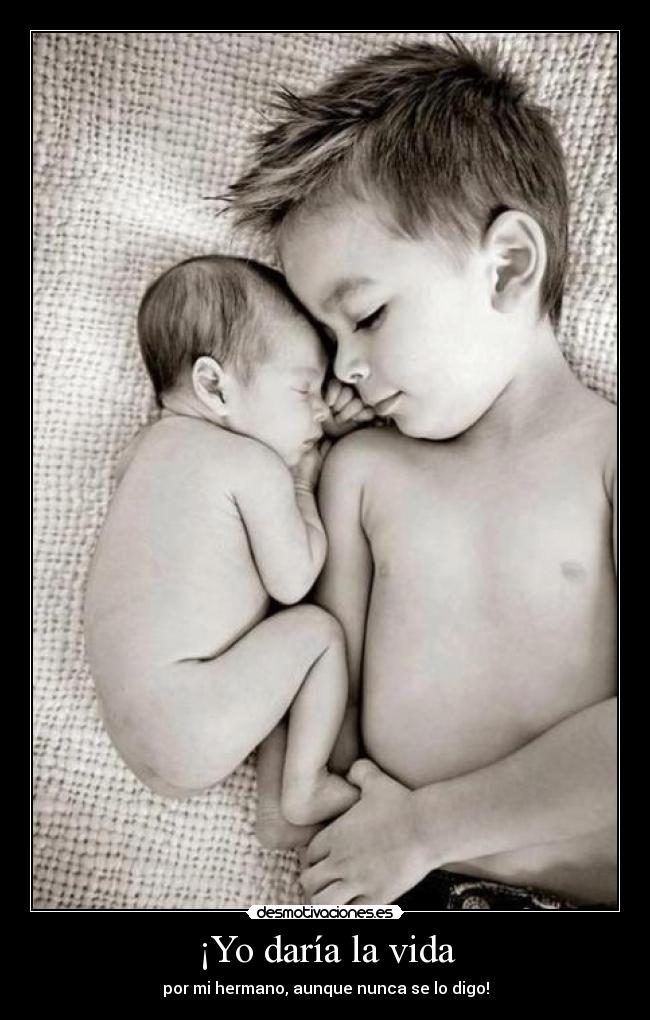 ¡Yo daría la vida - 