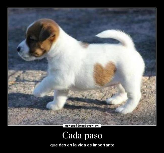 Cada paso - 