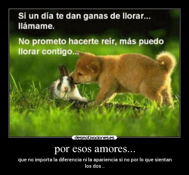 por esos amores... - que no importa la diferencia ni la apariencia si no por lo que sientan los dos ..