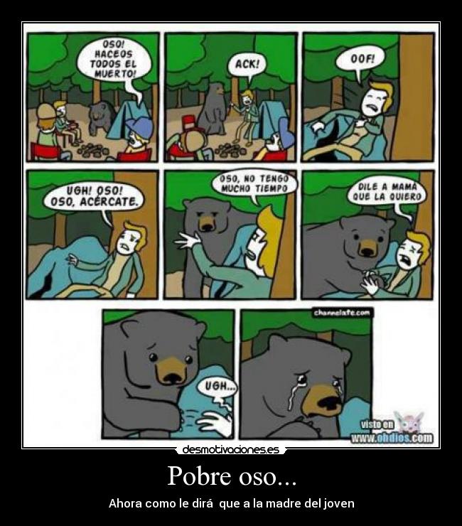 Pobre oso... - Ahora como le dirá  que a la madre del joven
