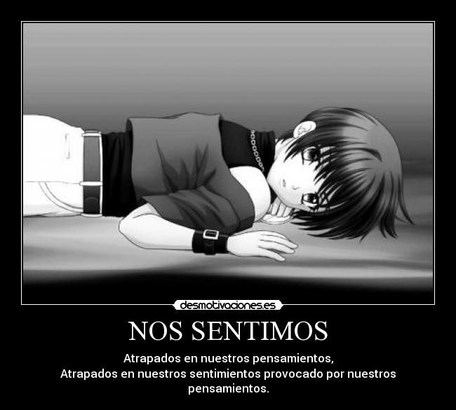 NOS SENTIMOS -