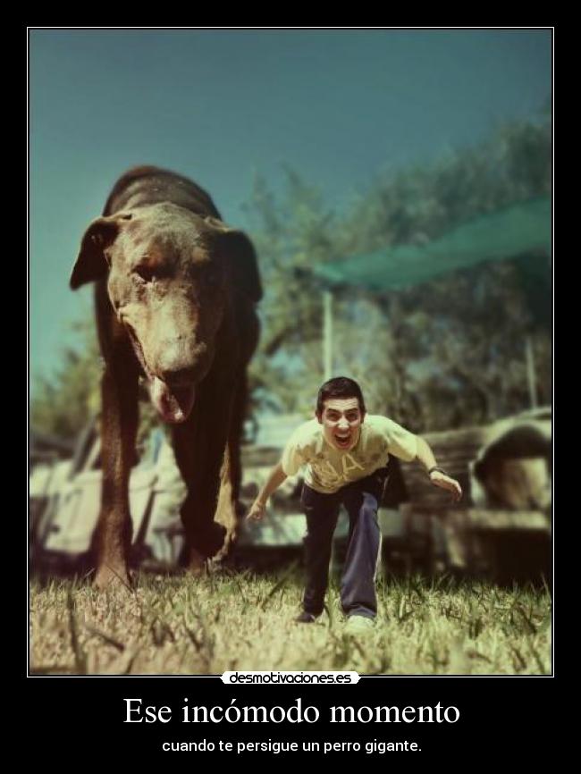 Ese incómodo momento - 