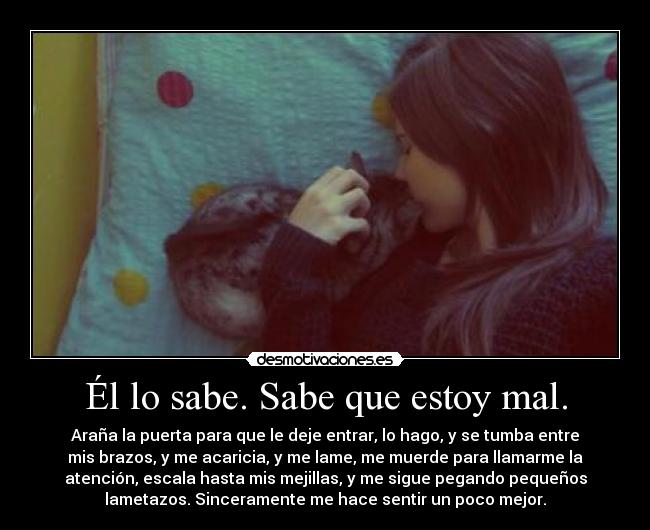 Él lo sabe. Sabe que estoy mal. - Araña la puerta para que le deje entrar, lo hago, y se tumba entre
mis brazos, y me acaricia, y me lame, me muerde para llamarme la
atención, escala hasta mis mejillas, y me sigue pegando pequeños
lametazos. Sinceramente me hace sentir un poco mejor.