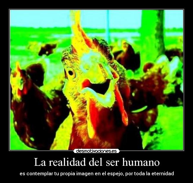 La realidad del ser humano - es contemplar tu propia imagen en el espejo, por toda la eternidad
