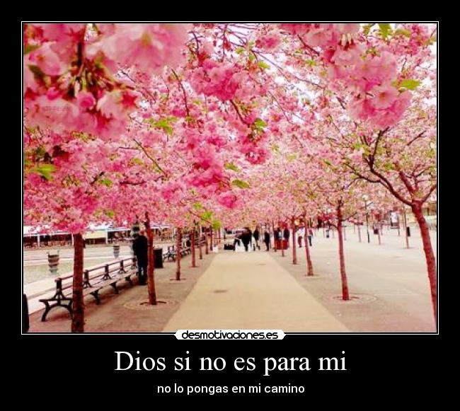 Dios si no es para mi - 