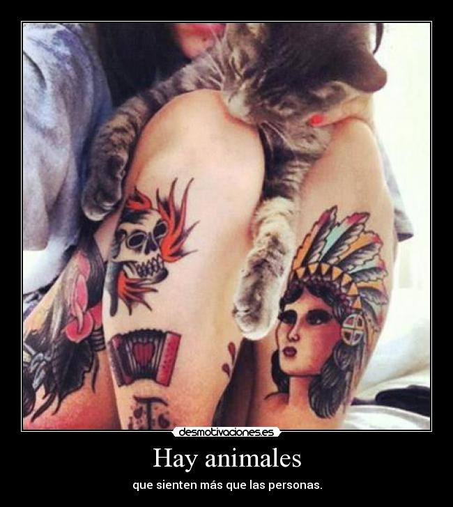 Hay animales - 