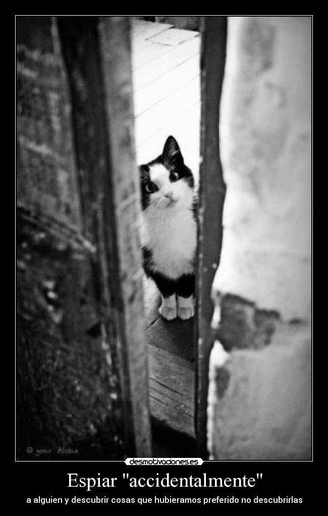Espiar accidentalmente - a alguien y descubrir cosas que hubieramos preferido no descubrirlas
