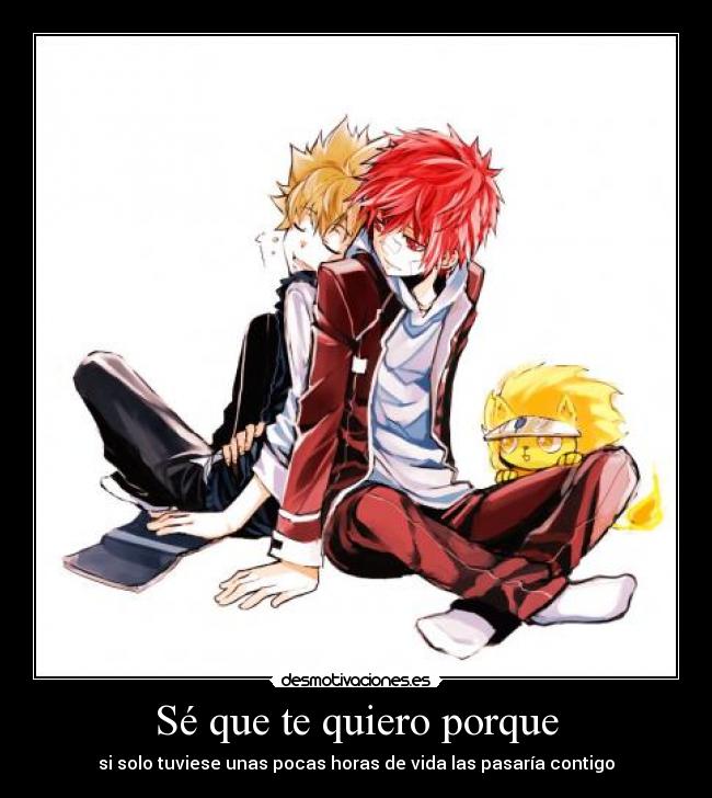 Sé que te quiero porque - si solo tuviese unas pocas horas de vida las pasaría contigo