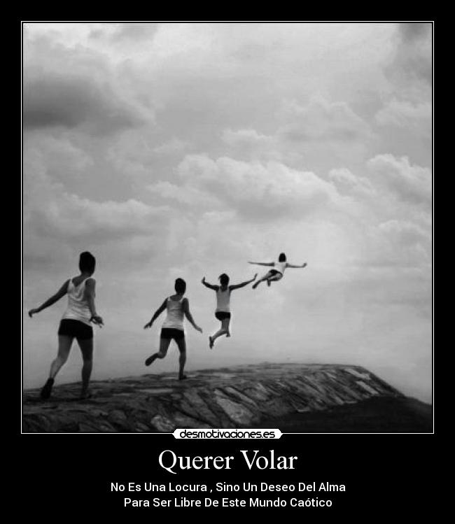 Querer Volar - No Es Una Locura , Sino Un Deseo Del Alma
Para Ser Libre De Este Mundo Caótico