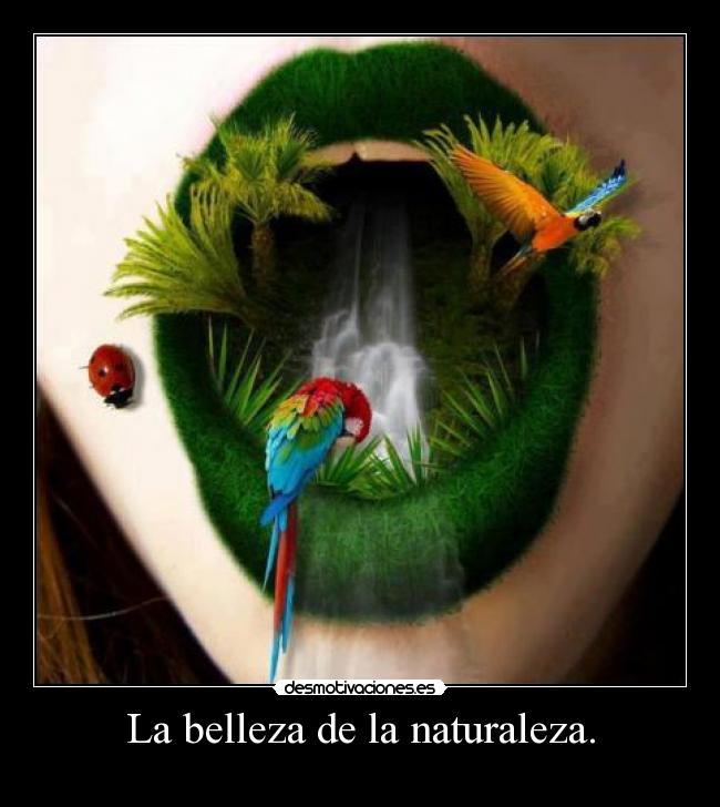 La belleza de la naturaleza. -