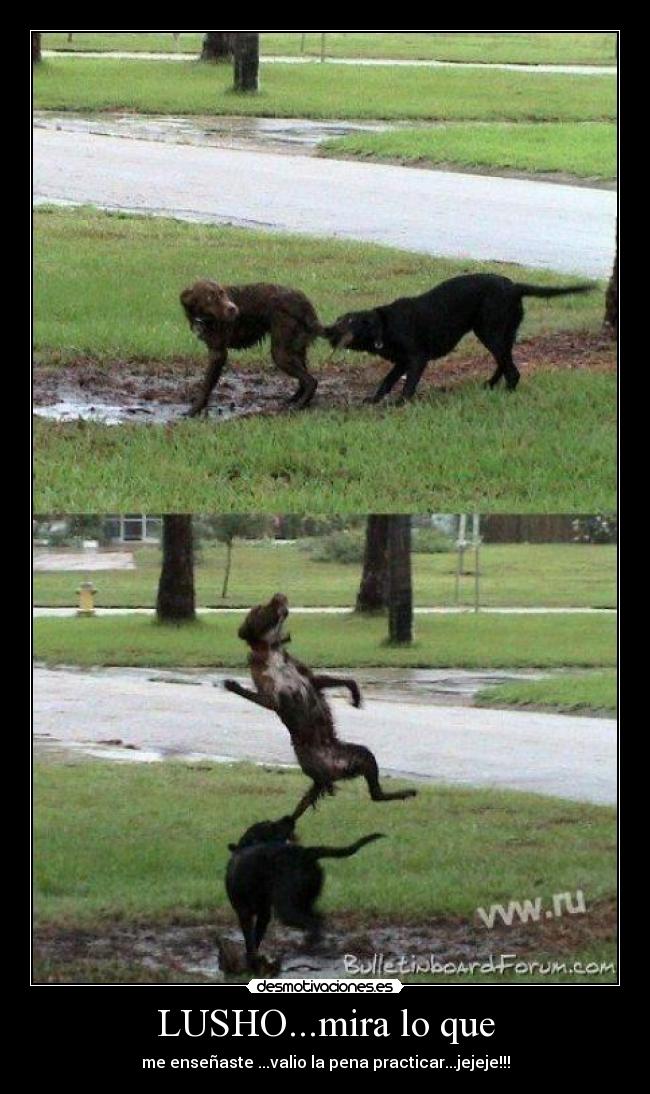 LUSHO...mira lo que - me enseñaste ...valio la pena practicar...jejeje!!!