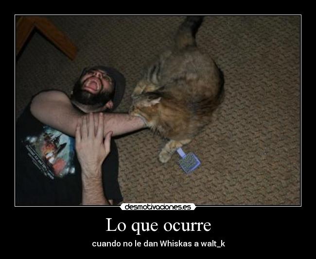 Lo que ocurre - cuando no le dan Whiskas a walt_k