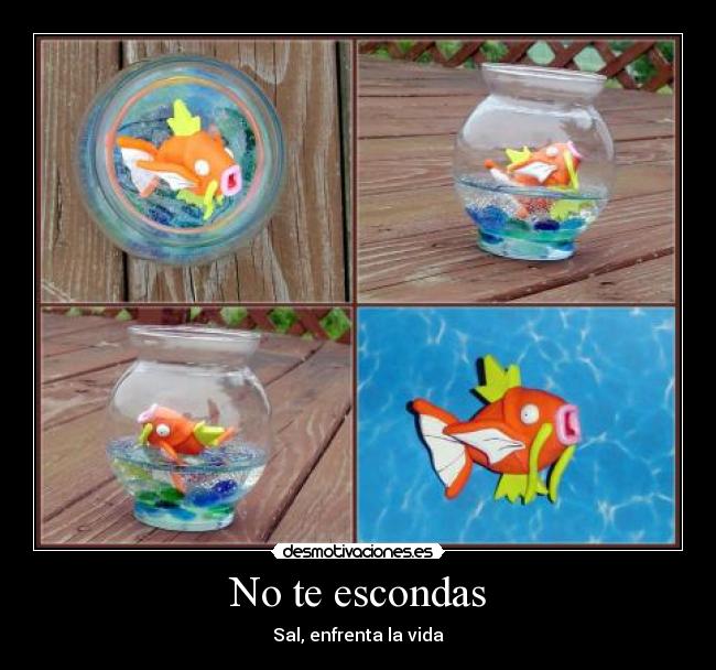 carteles jservin desmotivaciones