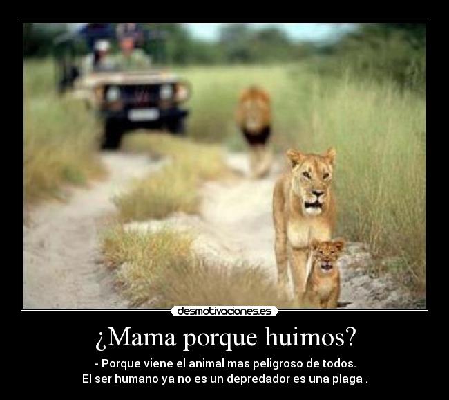 ¿Mama porque huimos? - 