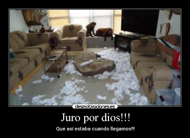 Juro por dios!!! - Que así estaba cuando llegamos!!!