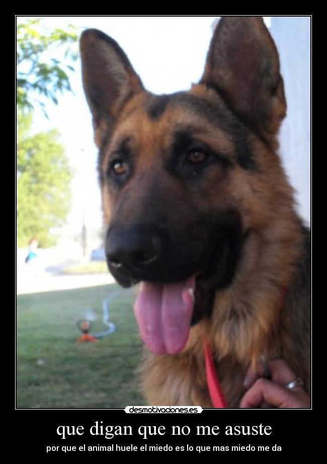 que digan que no me asuste -