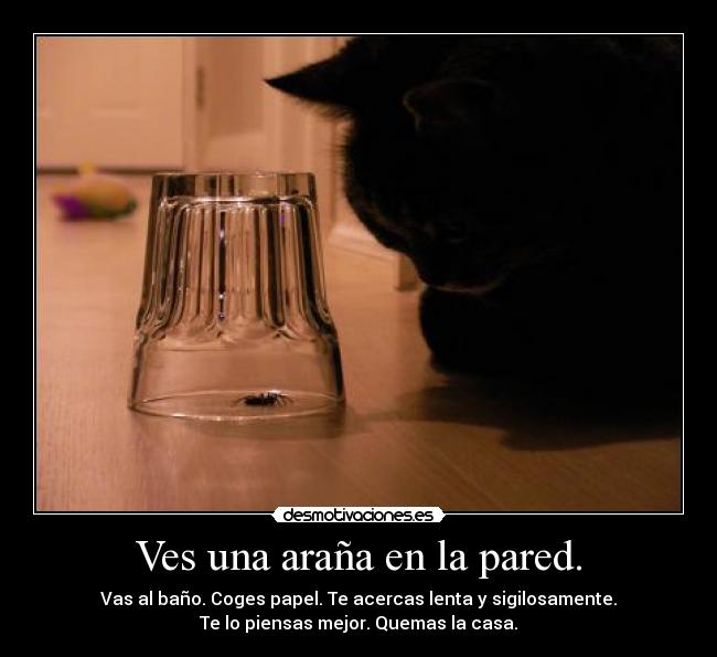 Ves una araña en la pared. - Vas al baño. Coges papel. Te acercas lenta y sigilosamente.
Te lo piensas mejor. Quemas la casa.
