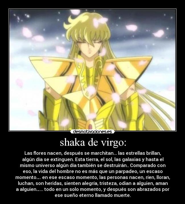 carteles shaka virgo desmotivaciones