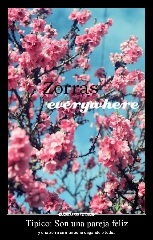 Típico: Son una pareja felíz - y una zorra se interpone cagandolo todo..
