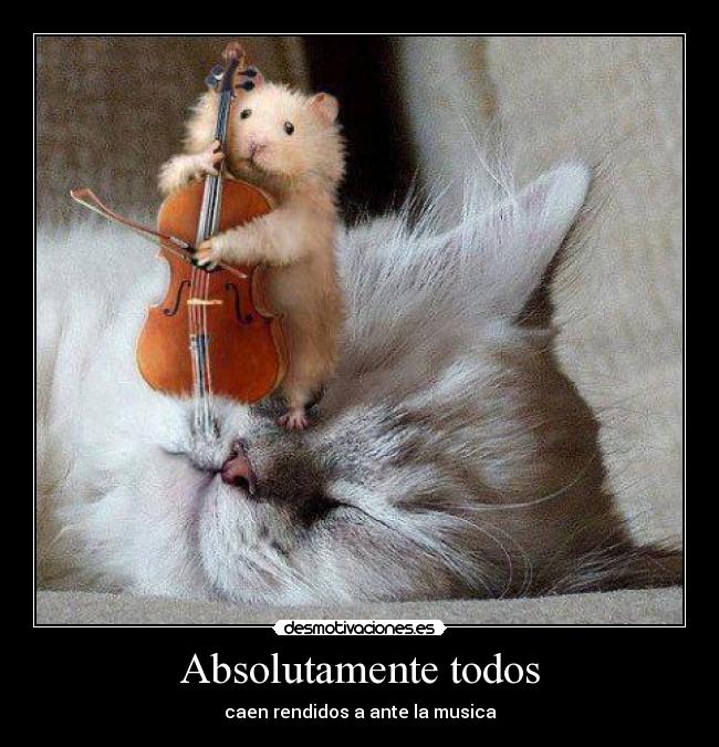 Absolutamente todos - caen rendidos a ante la musica