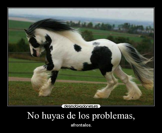 No huyas de los problemas, - afrontalos.