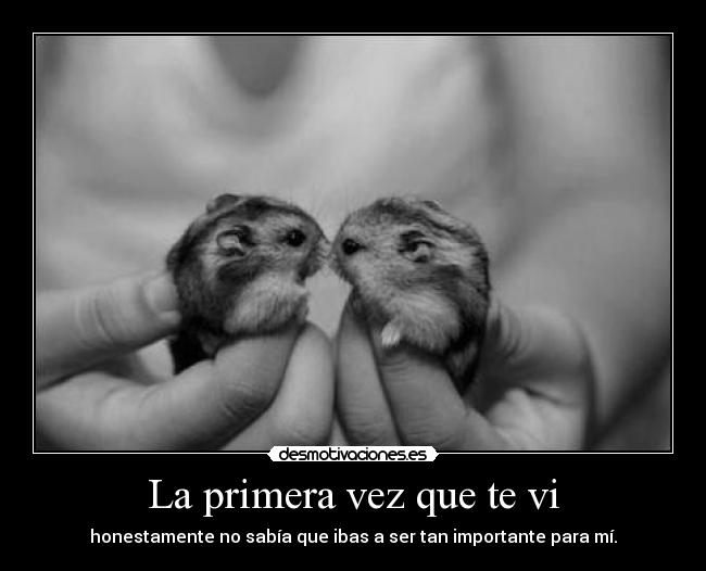 La primera vez que te vi -