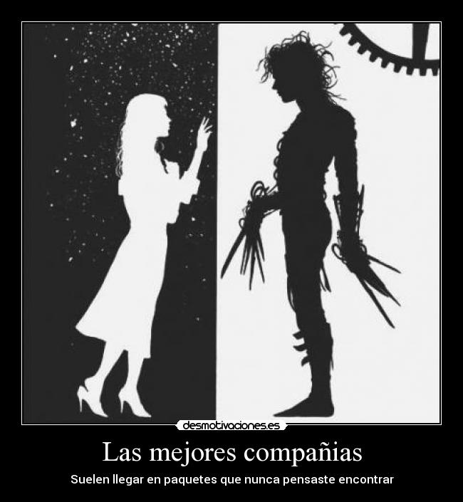 Las mejores compañias - Suelen llegar en paquetes que nunca pensaste encontrar