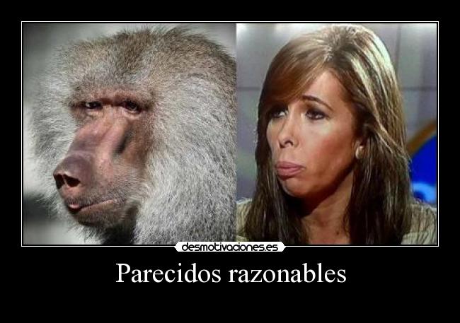 Parecidos razonables -