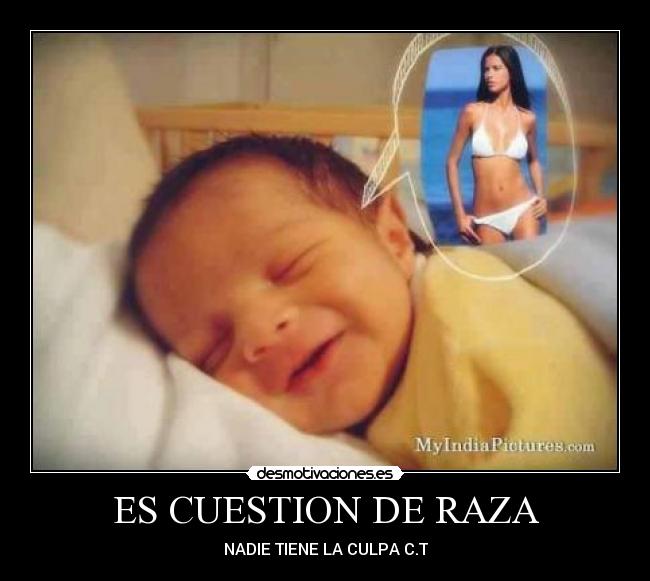 ES CUESTION DE RAZA - NADIE TIENE LA CULPA C.T