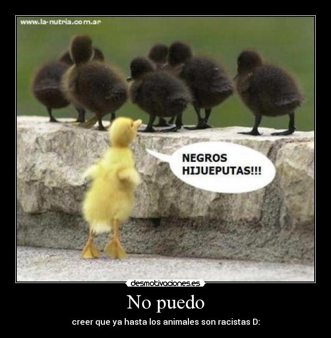 No puedo - creer que ya hasta los animales son racistas D: