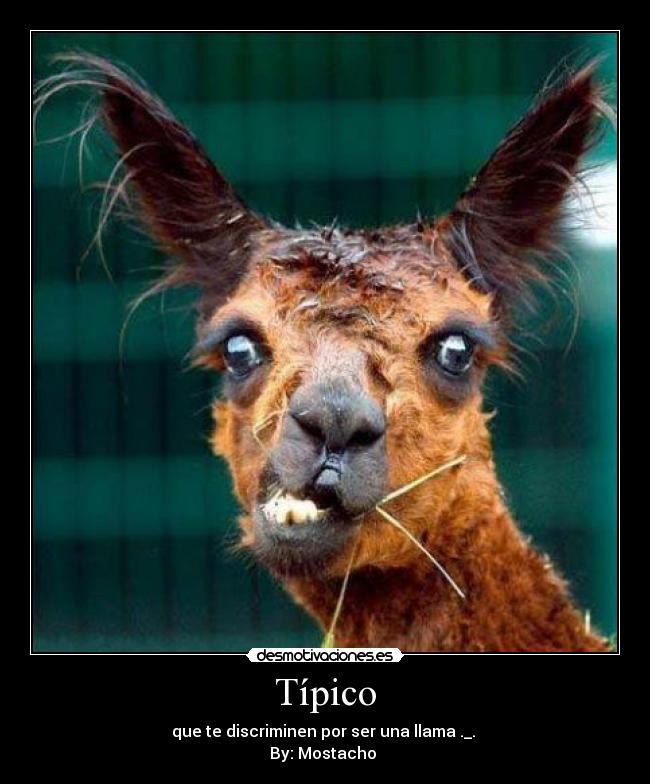 Típico - que te discriminen por ser una llama ._.
By: Mostacho