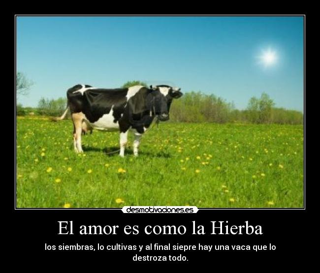 carteles amor adrian62i desmotivaciones