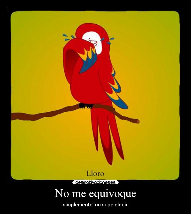 No me equivoque - simplemente no supe elegir.
