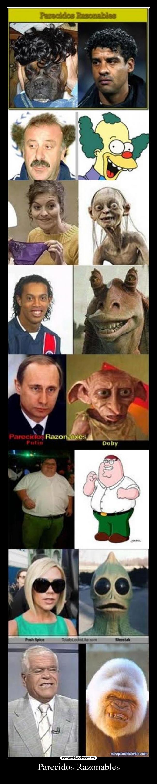 Parecidos Razonables - 