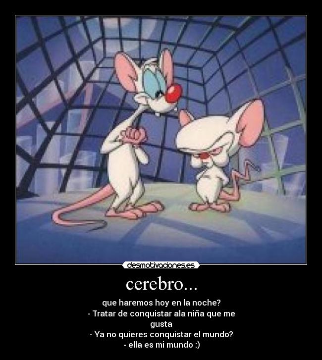 cerebro... - que haremos hoy en la noche?
- Tratar de conquistar ala niña que me
gusta
- Ya no quieres conquistar el mundo?
- ella es mi mundo :)