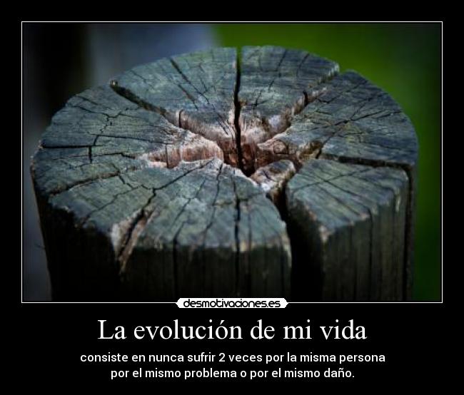 La evolución de mi vida -