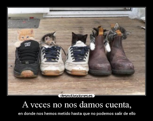 A veces no nos damos cuenta, - en donde nos hemos metido hasta que no podemos salir de ello