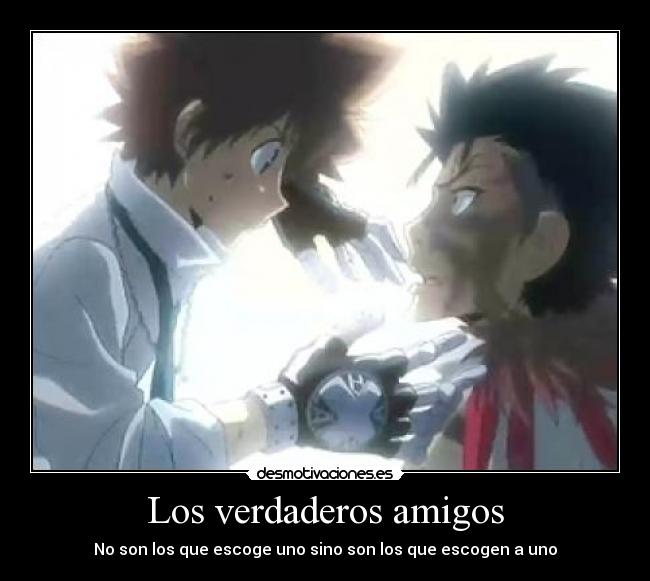 carteles amigos los verdareros amigos tsuna xanxus hitman reborn desmotivaciones