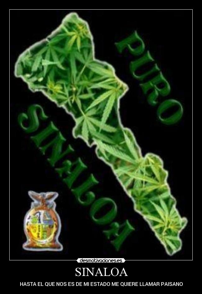 SINALOA - HASTA EL QUE NOS ES DE MI ESTADO ME QUIERE LLAMAR PAISANO
